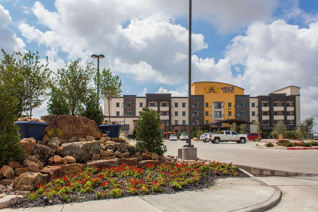La Quinta Inn & Suites By Wyndham Lubbock Southwest エクステリア 写真